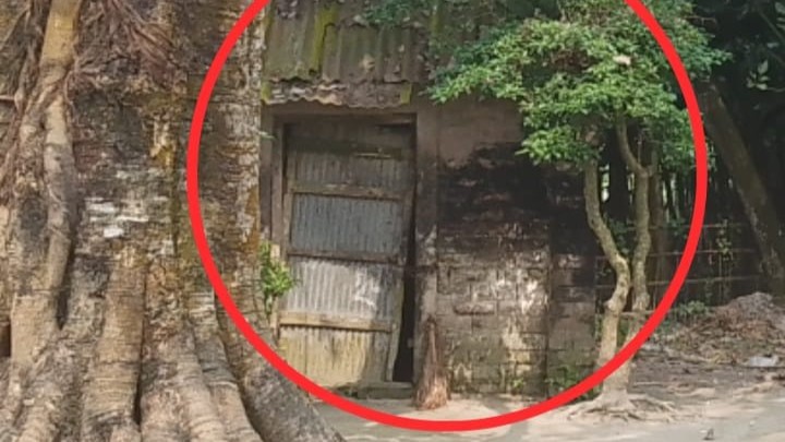 গঙ্গাচড়ায় পূজামণ্ডপের নামে চাল আত্মসাতের অভিযোগ